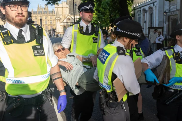 Londra, Birleşik Krallık, 6 Eylül 2025 - Metropolitan Polisi Parlamento Meydanı 'nda Filistin yanlısı bir protestocu tutukladı
