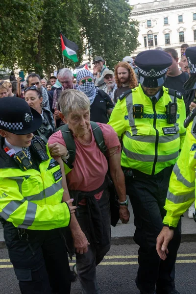 Londra, Birleşik Krallık, 6 Eylül 2025 - Metropolitan Polisi, Parlamento Meydanı 'nda yaşlı bir Filistinli protestocuyu tutukladı