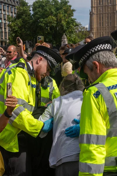 Londra, Birleşik Krallık, 6 Eylül 2025 - Metropolitan Polisi Parlamento Meydanı 'nda Filistin yanlısı bir protestocuyu tutukladı