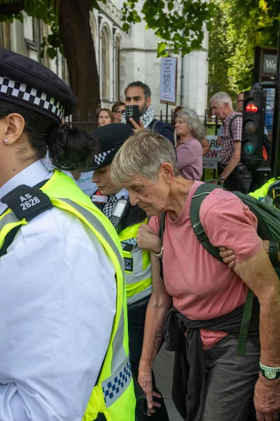 Londra, Birleşik Krallık, 6 Eylül 2025 - Metropolitan Polisi, Parlamento Meydanı 'nda yaşlı bir Filistinli protestocuyu tutukladı