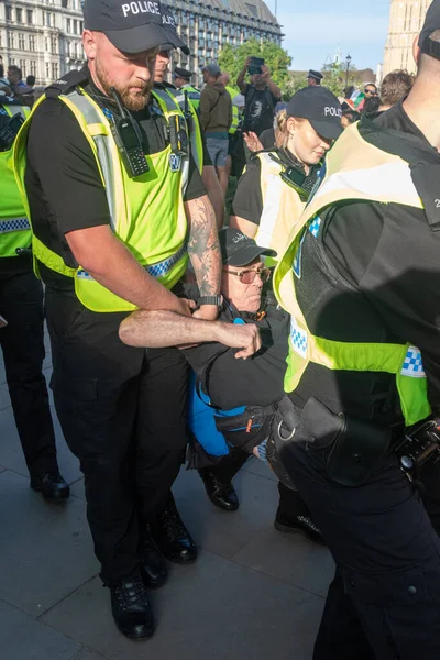 Londra, Birleşik Krallık, 6 Eylül 2025 - Metropolitan Polisi Parlamento Meydanı 'nda Filistin yanlısı bir protestocu tutukladı