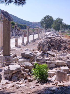 Ancient Ephesus, ruins in Turkey, ruins of the Ancient Roman and Ancient Greek empires, Selcuk, Izmir province High quality photo