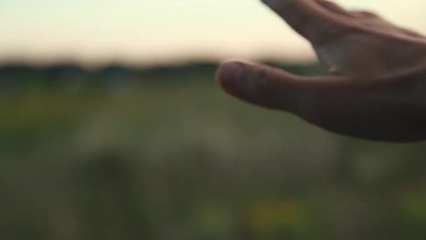 Main Dans Fenêtre Voiture Coucher Soleil — Video