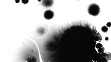 Çiçek mürekkebi. Güzel siyah suluboya mürekkep arkaplanda geçiş yaparken düşer,