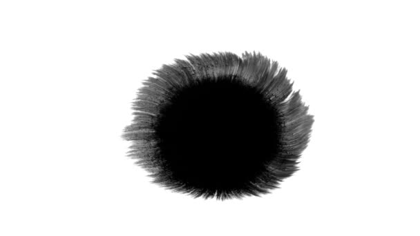Virágos Tinta Gyönyörű Fekete Akvarell Tinta Csepp Átmenet Közben Háttér — Stock videók