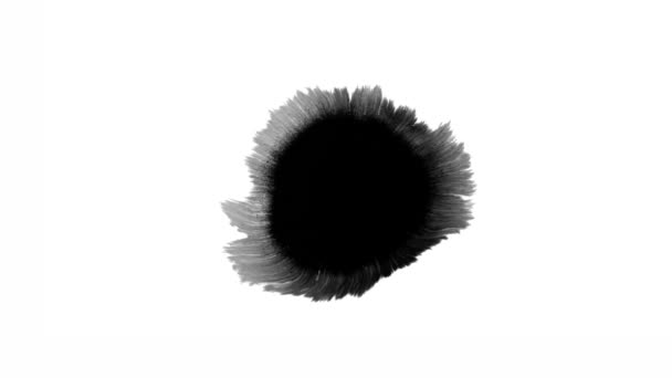 Çiçek Mürekkebi Güzel Siyah Suluboya Mürekkep Arkaplanda Geçiş Yaparken Düşer — Stok video