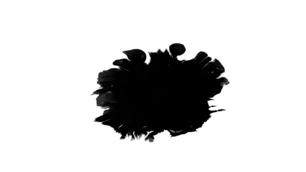 Kvetoucí Inkoust Krásná Černá Akvarel Inkoust Kapky Přechod Zatímco Pozadí — Stock video