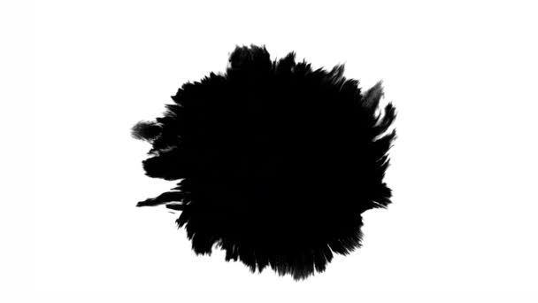 花墨水 美丽的黑色水彩油墨在背景色的衬托下褪色 — 图库视频影像