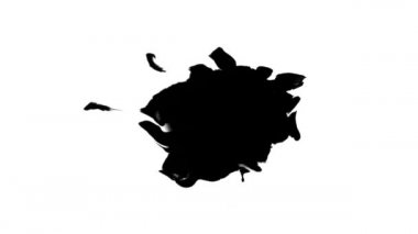 Çiçek mürekkebi. Güzel siyah suluboya mürekkep arkaplanda geçiş yaparken düşer,