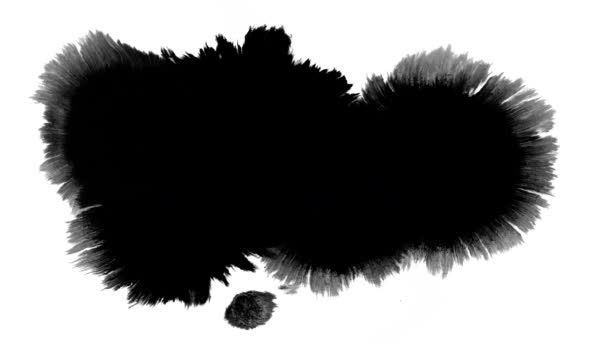 Virágos Tinta Gyönyörű Fekete Akvarell Tinta Csepp Átmenet Közben Háttér — Stock videók