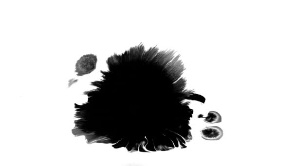Kvetoucí Inkoust Krásná Černá Akvarel Inkoust Kapky Přechod Zatímco Pozadí — Stock video