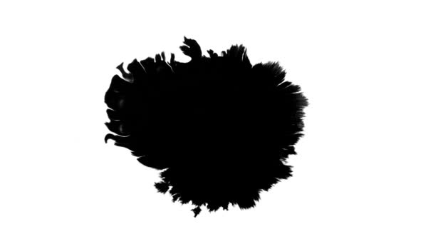 ブルーム インク 背景の間に美しい黒い水彩インクが移行を落とします — ストック動画