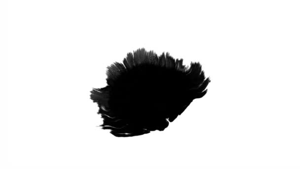 Bloom Tinte Schöne Schwarze Aquarellfarbe Tropfen Übergang Auf Während Hintergrund — Stockvideo