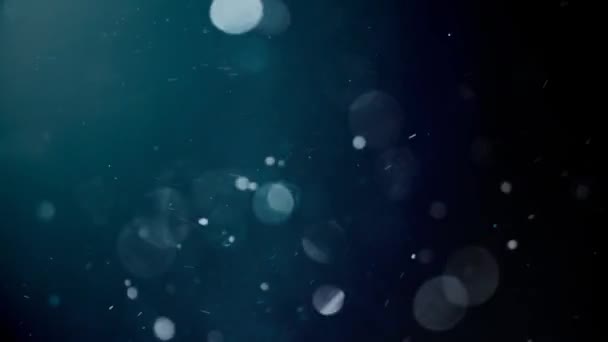 Beyaz Parçacıklar Soyut Arka Planda Mavi Parlayan Yıldızlar Toz Bokeh — Stok video