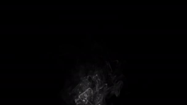 Realistische Rauchwolken Mit Alphakanal Dry Ice Smoke Storm Atmosphere Fog — Stockvideo