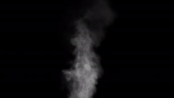 Awan Asap Realistik Dengan Kanal Alfa Dry Ice Smoke Storm — Stok Video