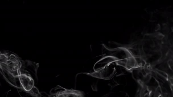 不同项目的现实烟云与阿尔法通道干冰烟云大气雾覆盖 画面背景 — 图库视频影像