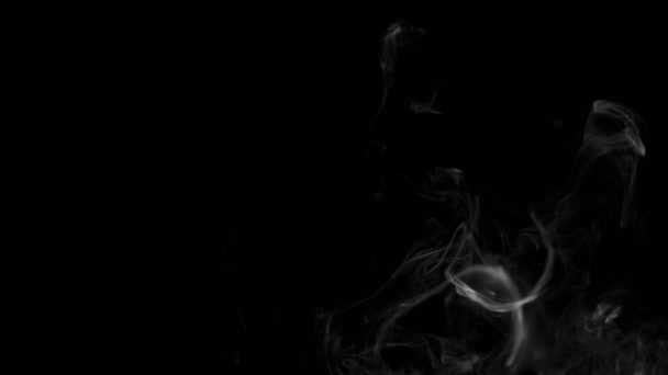 Realistic Smoke Clouds Alpha Channel Dry Ice Smoke Storm Atmosphere — Stock Video