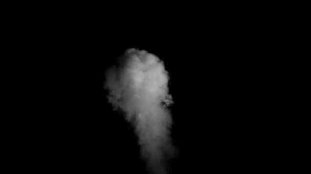 Realistische Rauchwolken Mit Alphakanal Dry Ice Smoke Storm Atmosphere Fog — Stockvideo