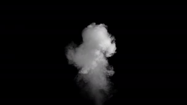 Realistische Rauchwolken Mit Alphakanal Dry Ice Smoke Storm Atmosphere Fog — Stockvideo