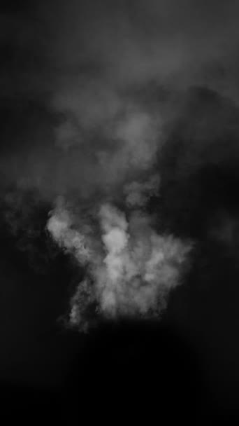 Ground Realistic Smoke Clouds Alpha Channel Dry Ice Smoke Storm — Wideo stockowe