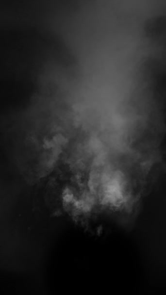 Ground Realistic Smoke Clouds Alpha Channel Dry Ice Smoke Smoke — стоковое видео