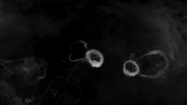 Farklı projeler için Yerden Gerçekçi Duman Bulutları alfa kanalı Kuru Buz Duman Fırtınası Atmosfer Kaplaması (görüntü Arkaplanı)