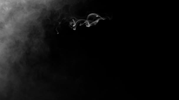Pozemní Realistický Kouř Mraky Alfa Kanálu Dry Ice Smoke Storm — Stock video