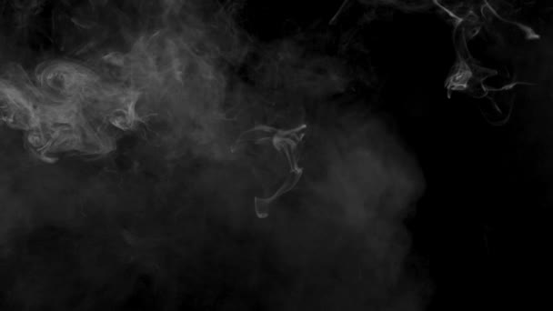 Ground Realistic Smoke Clouds Alpha Channel Dry Ice Smoke Storm — Αρχείο Βίντεο