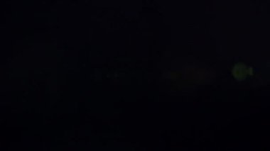 Objektife yansıyan ışığın etkisi. 4k klasik ışık.