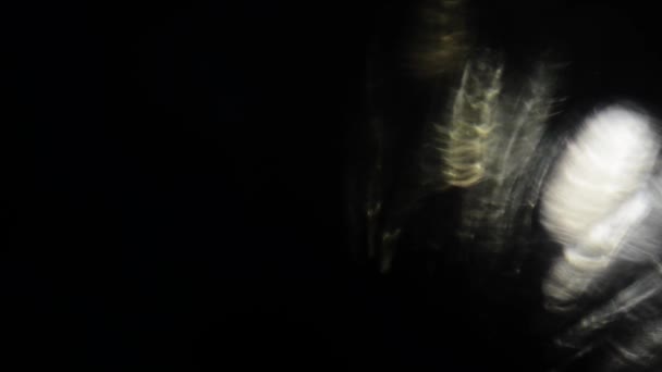 Επίδραση Μιας Πιτσιλίσματος Φωτός Στο Φακό — Αρχείο Βίντεο