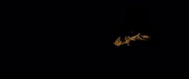 Slow Motion video çekimi Fire Flames and Burning. Siyah arka planda gerçek bir yangın tetikleyici..