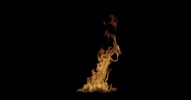 Slow Motion video çekimi Fire Flames and Burning. Siyah arka planda gerçek bir yangın tetikleyici..