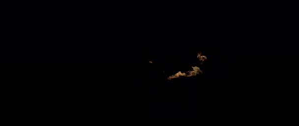 スローモーションビデオ撮影火災炎と燃焼.黒の背景に本物の火の点火装置. — ストック動画