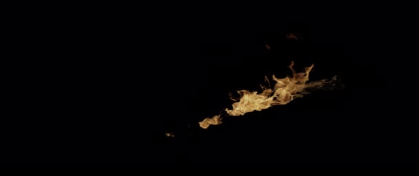 Slow Motion Video Som Filmar Fire Flames Och Burning Real — Stockvideo