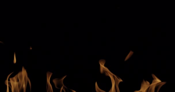 スローモーションビデオ撮影火災炎と燃焼 黒の背景に本物の火の点火装置 — ストック動画