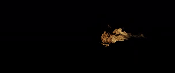 Tournage vidéo au ralenti Les flammes du feu et la combustion. Véritable allumeur de feu sur fond noir.