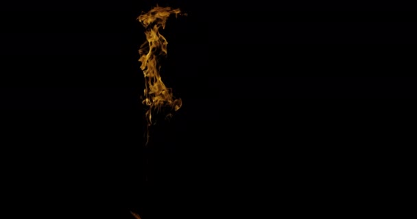 Tournage Vidéo Ralenti Les Flammes Feu Combustion Véritable Allumeur Feu — Video