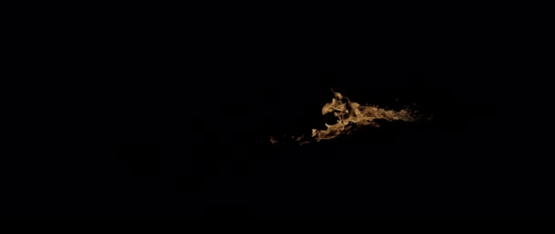 Slow Motion Video Som Filmar Fire Flames Och Burning Real — Stockvideo