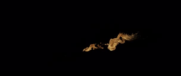 Відео Повільну Зйомку Fire Flames Burning Справжній Вогнегасник Чорному Тлі — стокове відео