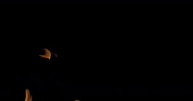 Slow Motion video çekimi Fire Flames and Burning. Siyah arka planda gerçek bir yangın tetikleyici..