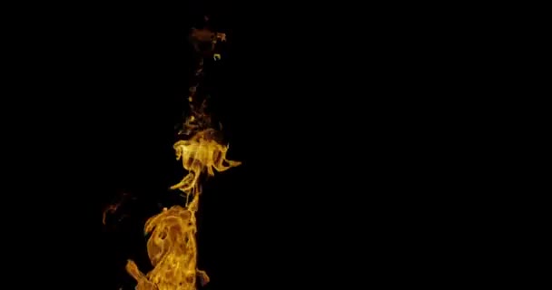 Tournage Vidéo Ralenti Les Flammes Feu Combustion Véritable Allumeur Feu — Video