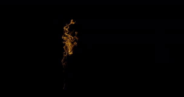 Filmik Slow Motion Kręcący Fire Flames Burning Prawdziwy Zapalnik Czarnym — Wideo stockowe