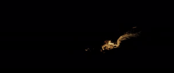 Slow Motion Video Som Filmar Fire Flames Och Burning Real — Stockvideo