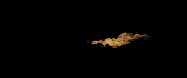 Slow Motion Video Som Filmar Fire Flames Och Burning Real — Stockvideo