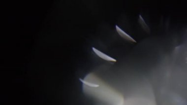 Mercek Bozukluğu 4K Işık Ufku, Parlak Lens parlamaları geçiş, başlık ve kaplama, ışık titreşimleri ve parlamalar için. Koyu arkaplanda gerçek lens VFX ile UHD 'de ışık sızıntısı
