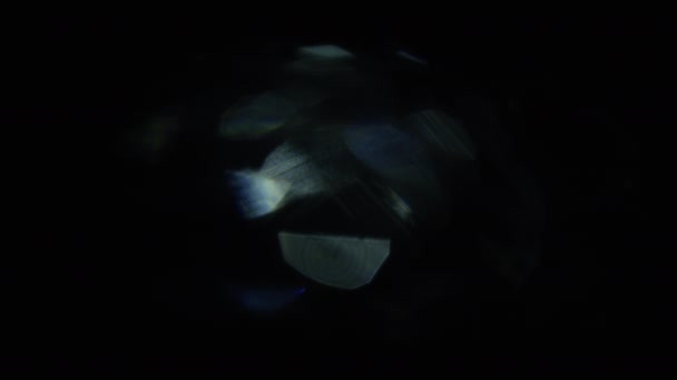 Distorções de Lente 4K Light Horizon, Lente Brilhante Flare flashes para transições, títulos e sobreposição, pulsos de luz e brilhos. vazamento de luz em UHD no fundo escuro com lente real chama VFX — Vídeo de Stock