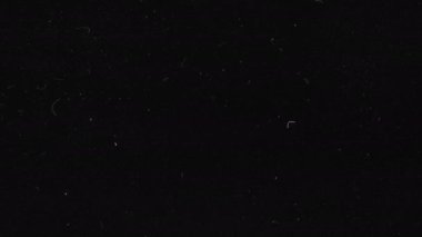 Sinema gürültüsü ya da tahılsız doku. Retro şablonu. Videonuzu kaplamak için matlık ya da ekran modu kullanımı. Negatif film. Çizik şerit. Eski moda kaset 4K 'de animasyon halinde. Klasik film efektleri