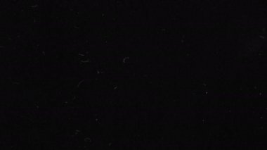 Sinema gürültüsü ya da tahılsız doku. Retro şablonu. Videonuzu kaplamak için matlık ya da ekran modu kullanımı. Negatif film. Çizik şerit. Eski moda kaset 4K 'de animasyon halinde. Klasik film efektleri