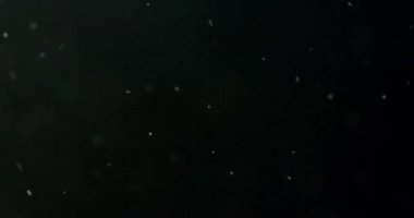 Uçan ve titreşen parçacıkların ışık demeti olarak canlandırıldığı soyut bir arkaplan. Kusursuz döngünün animasyonu. Toz baloncukları kar animasyonu..